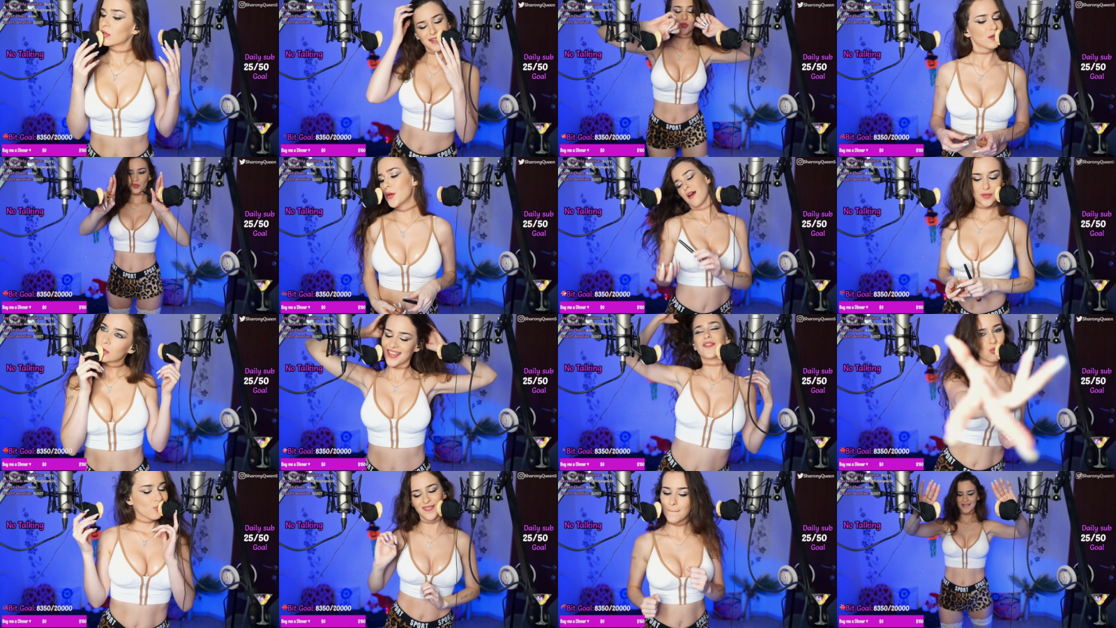SharonQueen---Twitch-2024-04-28-Loop-hHF4XAt5.mp4_grid.png